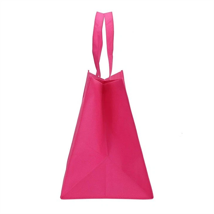 Easy Carry Non Woven Bags