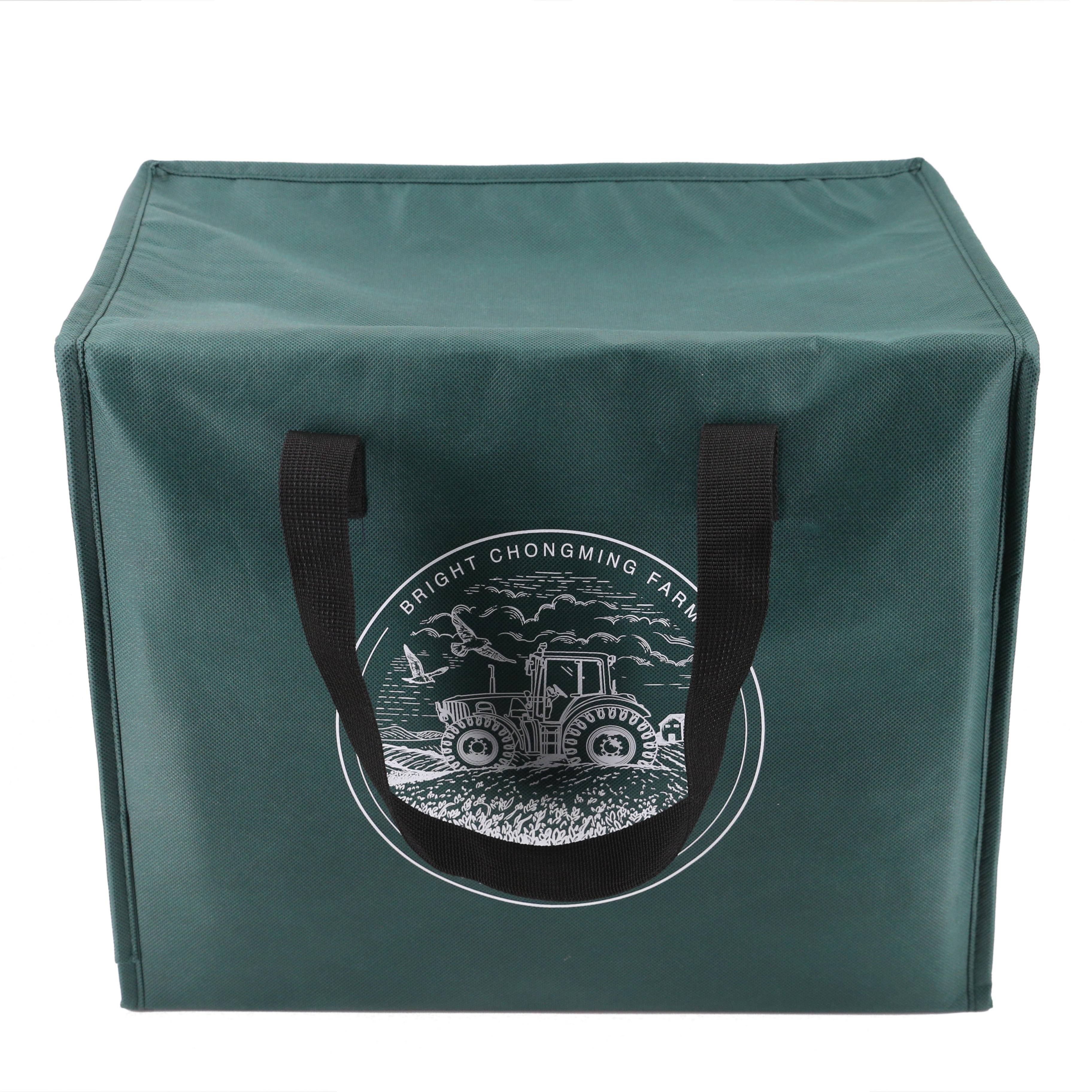 Extra large insulated cooler bag